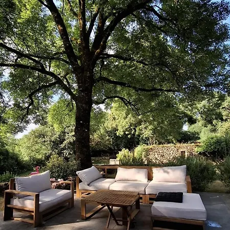 Forest House In Perigord Vert 브랑톰