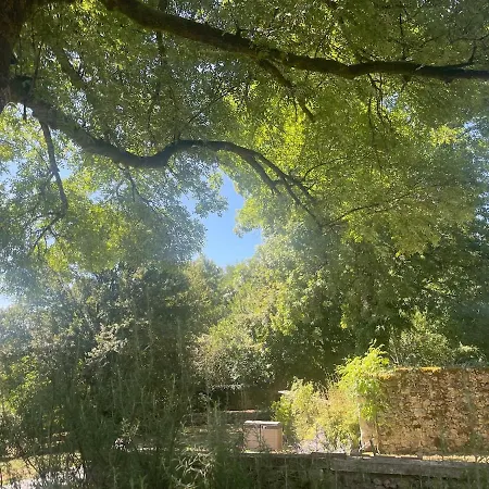 Forest House In Perigord Hébergement de vacances Brantôme