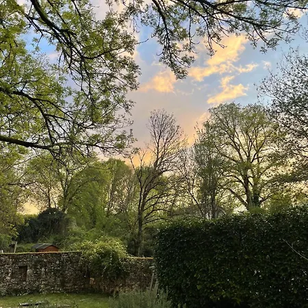 펜션 Forest House In Perigord Vert 브랑톰